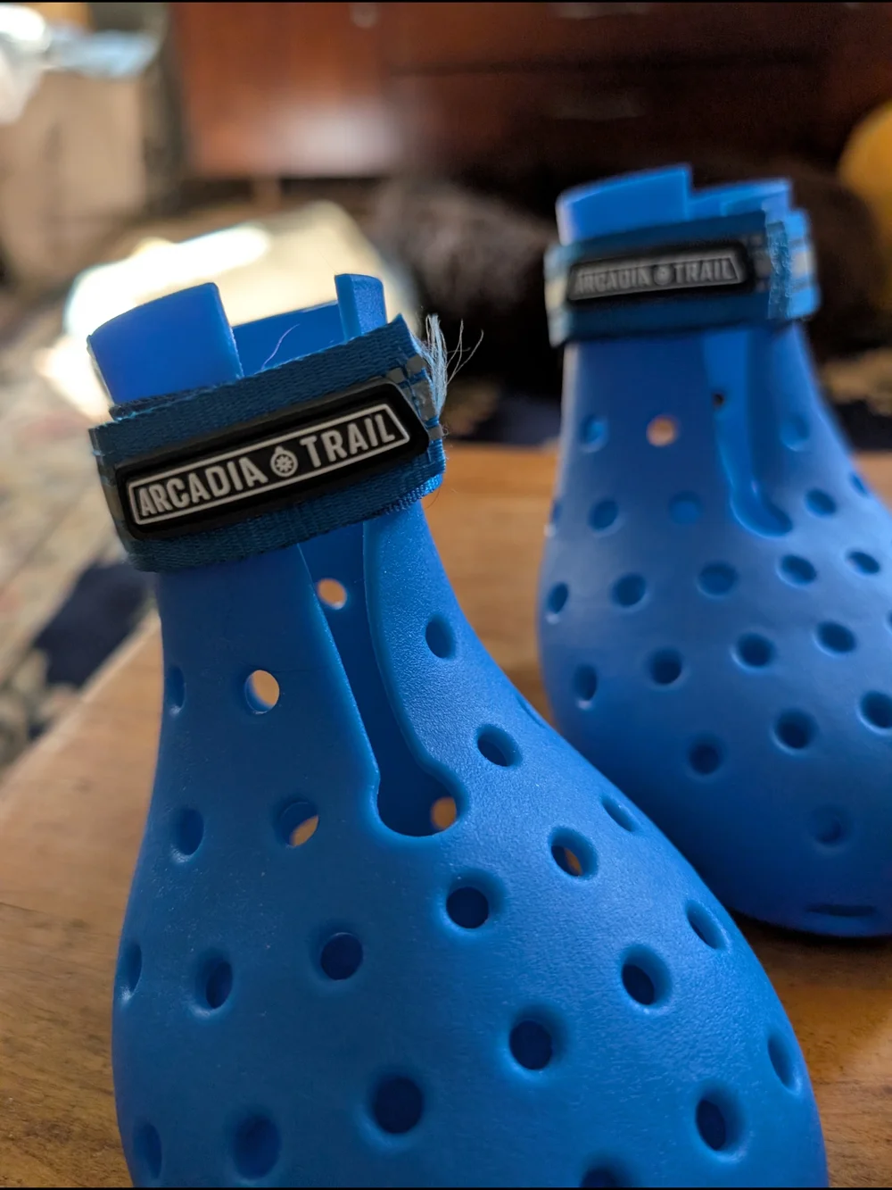 Arcadia Blue Dog Water Shoes with Hook-and-Loop Strap FOR A 3 LEGGED DOG